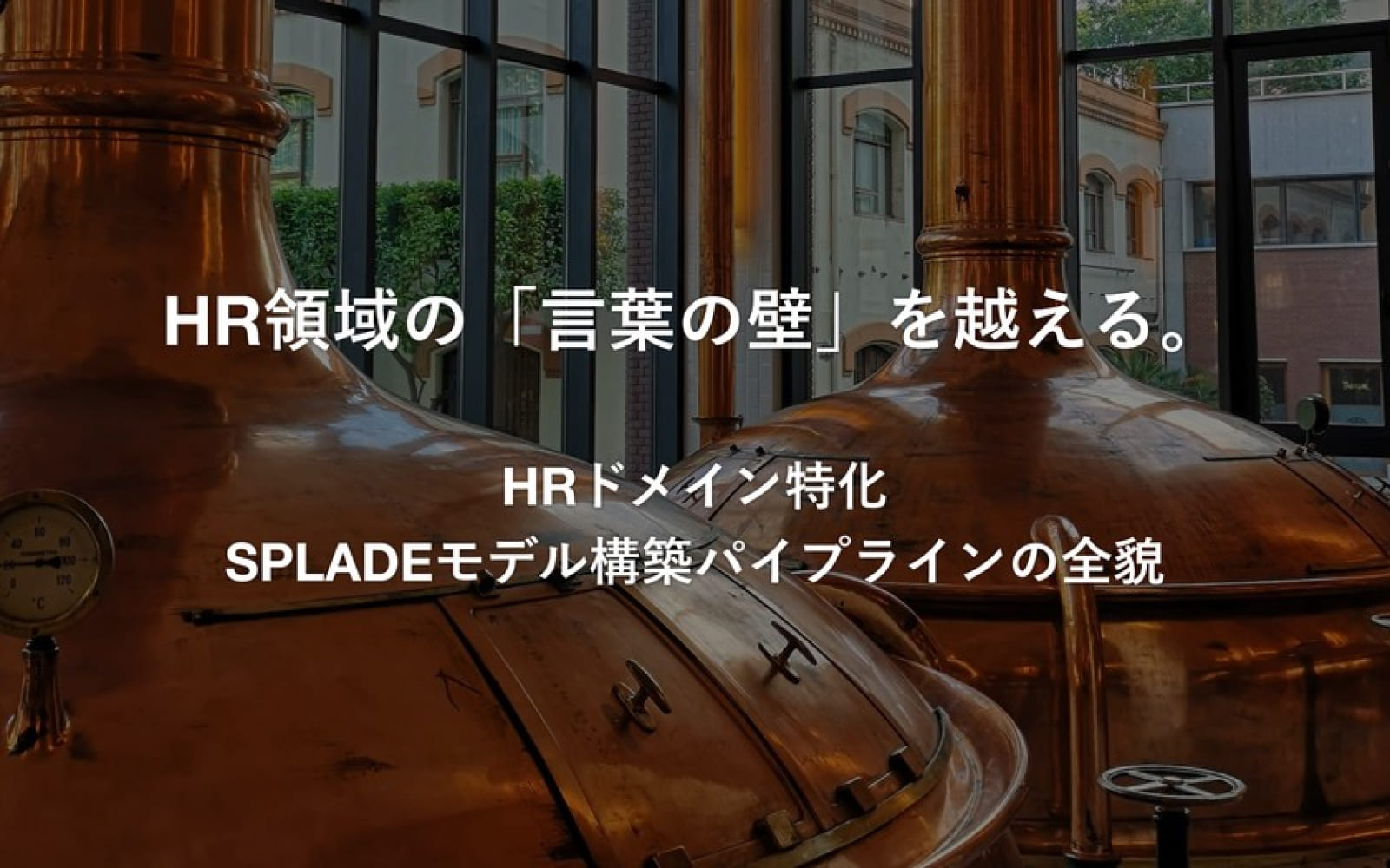 HRドメイン特化SPLADEモデル構築パイプラインの全貌